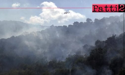 LIBRIZZI – Intervento di recupero del patrimonio boschivo volto alla tutela e prevenzione di danni da incendi.