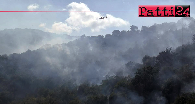LIBRIZZI – Intervento di recupero del patrimonio boschivo volto alla tutela e prevenzione di danni da incendi.