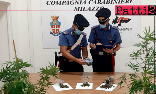 SANTA LUCIA DEL MELA – 47enne coltiva piante di cannabis. Arresti domiciliari e divieto di dimora in provincia.