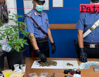 GIOIOSA MAREA – Deteneva marijuana. Denunciato 32enne