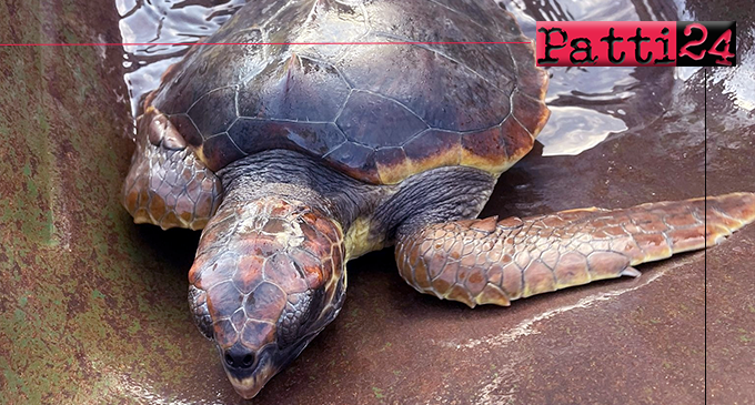 PATTI – Amore per il mare. Due ragazzi salvano una tartaruga marina