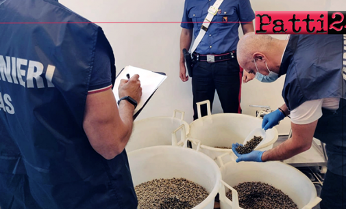 LIPARI – Sequestrati oltre 13 tonnellate di capperi presso industria di conserve alimentari.