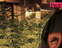MESSINA – Sequestrata coltivazione indoor di cannabis. Arrestato 47enne