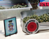 ROCCALUMERA – Nascondeva marijuana nell’armadio. Arrestato 39enne