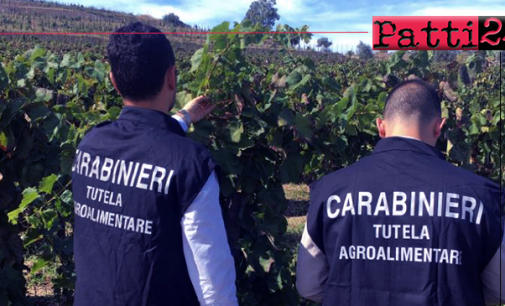 MESSINA – Truffa in danno dell’AGEA. Sequestrati in provincia beni per circa 180.000 euro oltre ad 84 titoli di pagamento a 2 imprenditori agricoli.