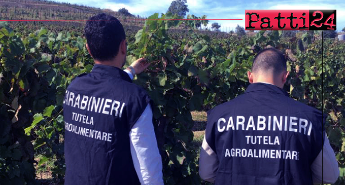 MESSINA – Truffa in danno dell’AGEA. Sequestrati in provincia beni per circa 180.000 euro oltre ad 84 titoli di pagamento a 2 imprenditori agricoli.