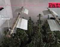 MESSINA – Scoperta serra artigianale adibita alla coltivazione di piante di marijuana. 