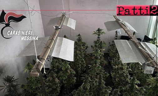 MESSINA – Scoperta serra artigianale adibita alla coltivazione di piante di marijuana. 