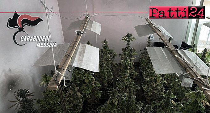 MESSINA – Scoperta serra artigianale adibita alla coltivazione di piante di marijuana. 