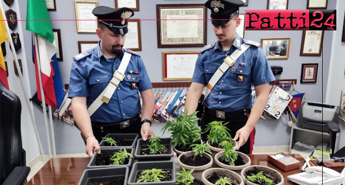 VILLAFRANCA TIRRENA – Evade per coltivare piantine di marijuana sul terrazzo. Arrestato 27enne