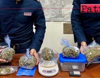 MESSINA – Marijuana in cantina. Rinvenuti e sequestrati più di 600 grammi di sostanza stupefacente, arrestato 22enne