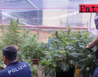 MESSINA – Coltivava marijuana in serra artigianale indoor. Arrestato 25enne