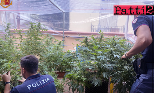 MESSINA – Coltivava marijuana in serra artigianale indoor. Arrestato 25enne