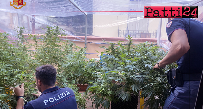 MESSINA – Coltivava marijuana in serra artigianale indoor. Arrestato 25enne