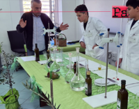 PATTI – Istituto Tecnico Agrario dell’IIS Borghese Faranda. Il corso “La Cultura dell’assaggio dell’olio extravergine” riscuote grande interesse.