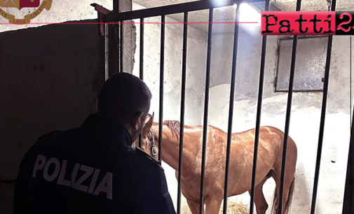 MESSINA – Bloccata corsa clandestina di cavalli lungo il viale Giostra. Denunciato uno dei fantini.