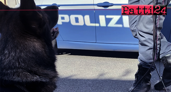 MESSINA – Il fiuto del cane poliziotto Kent porta dritti a hashish e marijuana nascosti in una scarpiera. Arrestato 39enne
