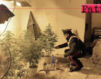 MESSINA – Controlli straordinari. 22enne coltivava droga in casa, arrestato.