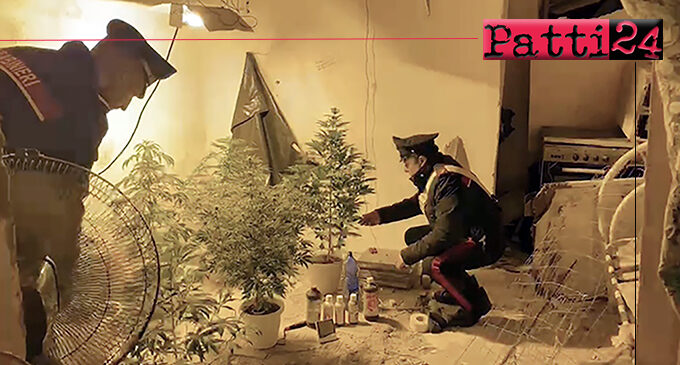 MESSINA – Controlli straordinari. 22enne coltivava droga in casa, arrestato.