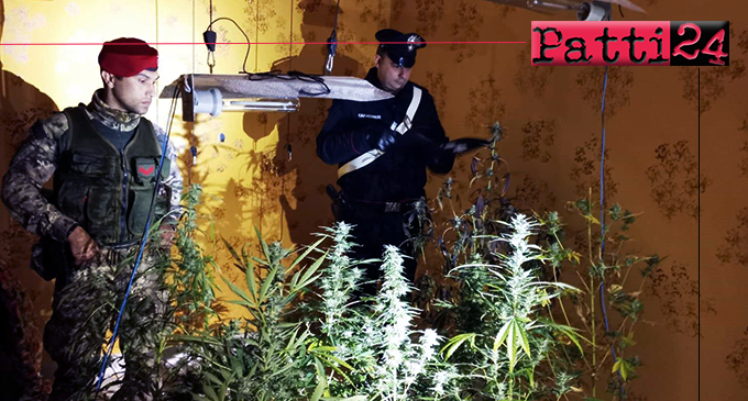 MESSINA – Occupa abusivamente un’abitazione per realizzare all’interno una serra di marijuana, alimentata dall’energia elettrica sottratta dalla rete pubblica. Arrestato 35enne
