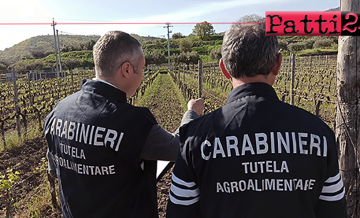 MESSINA – Frodi in danno all’Unione Europea. Attività I° quadrimestre 2023 del Reparto Carabinieri Tutela Agroalimentare.