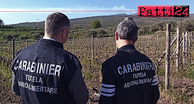 MESSINA – La Procura Europea e i Carabinieri sequestrano beni per 70mila euro in provincia.