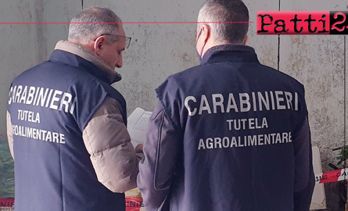 MESSINA – Controlli straordinari dei Carabinieri e del Reparto Tutela Agroalimentare. Due esercizi commerciali irregolari, sanzioni per 5.100 euro