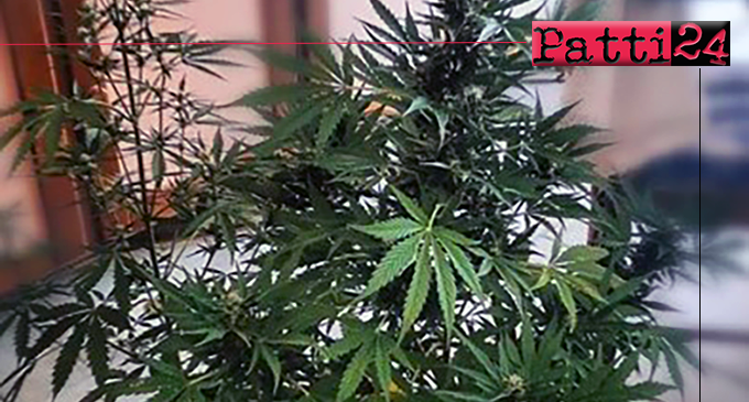 MESSINA – Coltivava cannabis in casa. 54enne denunciato