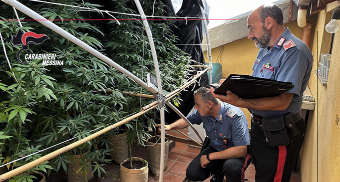 ROCCA DI CAPRILEONE – Coltiva una piantagione di marijuana nel solaio di casa. Arrestato 47enne