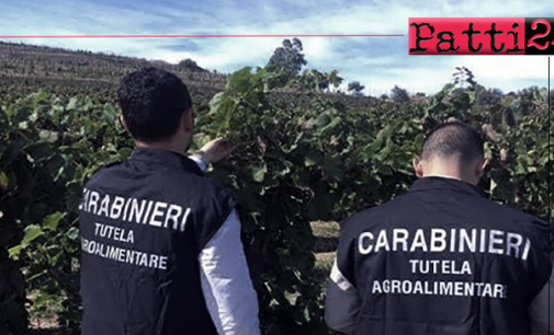 SICILIA – Truffa ai danni dell’Unione Europea. I Carabinieri del reparto Tutela Agroalimentare di Messina e la DIA di Catania hanno eseguito 7 misure cautelari