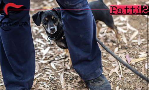 GIARDINI NAXOS – Con la scusa di portare il cane per i bisogni, evade dai domiciliari. Arrestato 39enne