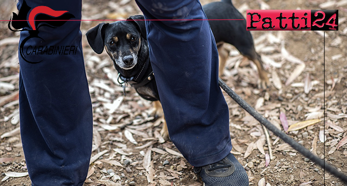 GIARDINI NAXOS – Con la scusa di portare il cane per i bisogni, evade dai domiciliari. Arrestato 39enne