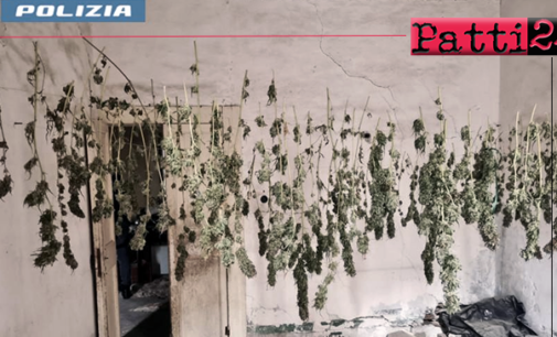 MESSINA – Coltivava Cannabis in giardino e la essiccava al 1° piano. Arrestato 34enne, sequestrata 2,7 kg di Marijuana