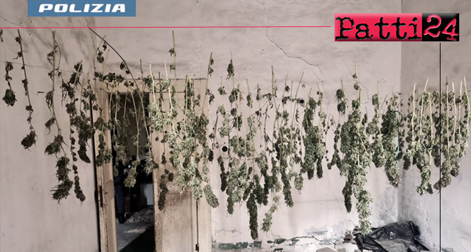 MESSINA – Coltivava Cannabis in giardino e la essiccava al 1° piano. Arrestato 34enne, sequestrata 2,7 kg di Marijuana