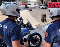 MESSINA – La Polizia di Stato sequestra quasi un chilo e mezzo di marijuana e arresta tre uomini, in flagranza di reato ed in attività distinte.